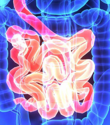 Small Intestine Surgery by Dr. Arun Prasad